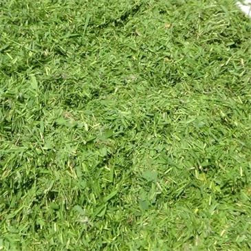 product-365-365 2-8t-h-leaf-shredder-machinery-suitable-for